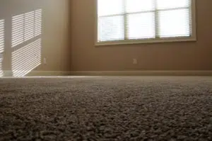 Carpet Closeup 2