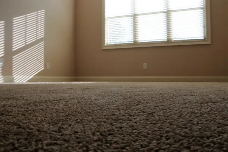 Carpet Closeup 2
