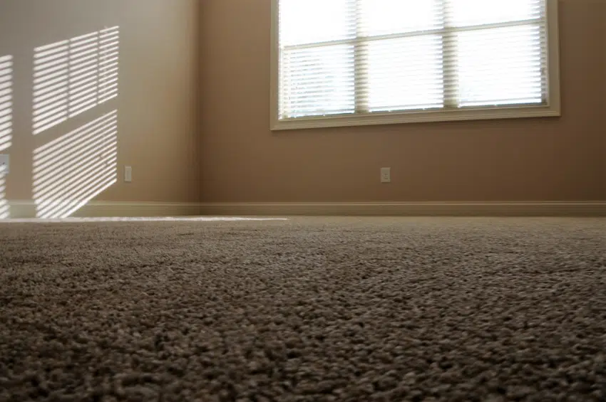 Carpet Closeup 2