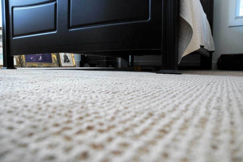 Thompson Carpet Closeup